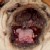 :iconmoyrn: