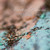 :iconmp-nw-photography: