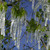 :iconmpe-photo:
