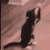 :iconmplex:
