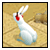 :iconmr-anonymuse:
