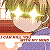 :iconmr-bakapickles:
