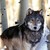 :iconmr-blue-sky13: