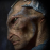 Mr-CocoaX :iconmr-cocoax: