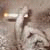:iconmr-hands: