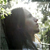 :iconmr-kitty-s: