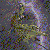 :iconMr-Marzipan: