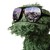 :iconmr-mumbler: