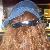 :iconmr-redcap: