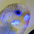 :iconmr-rones: