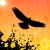 :iconmr-shiftyswitchblade:
