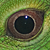 :iconMr-Tang: