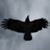 Mr13thRaven :iconmr13thraven: