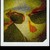 mr4423 :iconmr4423: