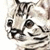 :iconmrabby: