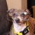 mranimator14 :iconmranimator14: