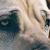 :iconmrbotanick: