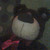MrBubblesLikesYaoi :iconmrbubbleslikesyaoi: