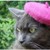 :iconmrcatpactfurry:
