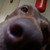 :iconmrceal: