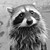 :iconmrcoon: