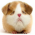 :iconmrcula: