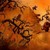 :iconmrdata2878:
