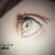 :iconmrdoughnut21: