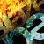 :iconmrfatality: