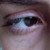 :iconmrfirethefox: