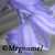 :iconmrgnome: