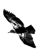 :iconmrhealer: