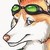 :iconmrhelmetman: