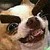 :iconmrhentai001: