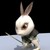 :iconmrintrepid777: