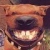 :iconmrkrzysiek: