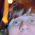 :iconmrmarx: