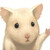 :iconmrmouse700: