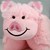 :iconmrpiggypilllow:
