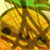 :iconmrpineapple3: