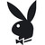 :iconmrrabbit16: