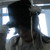 :iconmrrandomius: