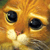 :iconmrrwe: