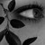:iconmrs--smith: