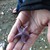 :iconmrs-ericnorthman: