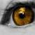 :iconmrs-isabella-cullen: