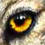 :iconmrs14clearwater: