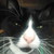 :iconmrsalanrickman: