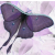 :iconmrscluck: