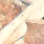 :iconmrsebas9506: